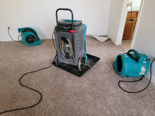 Best Flood restoration services  in Rome, GA