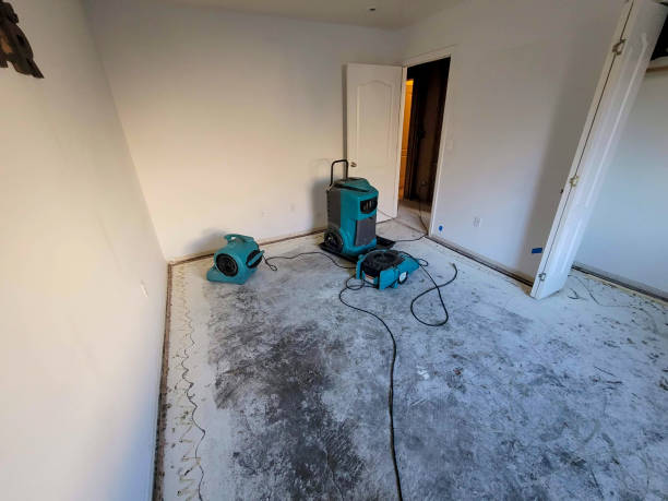 Best Commercial water damage restoration  in Rome, GA