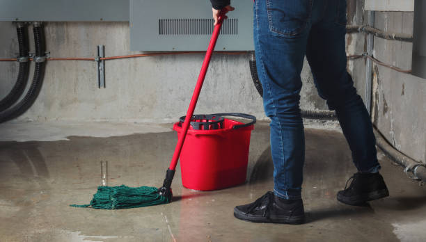 Best Water damage restoration services  in Rome, GA