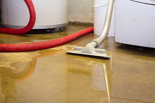 Best Flooded house restoration  in Rome, GA