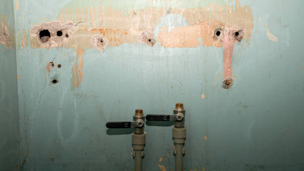 Best 24-hour water damage restoration  in Rome, GA
